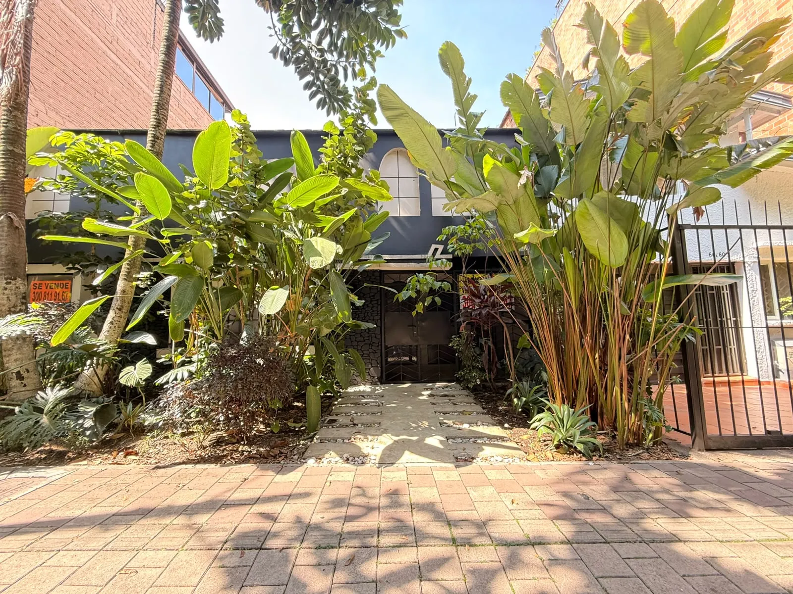 Luxury Laureles Independent House — view 14