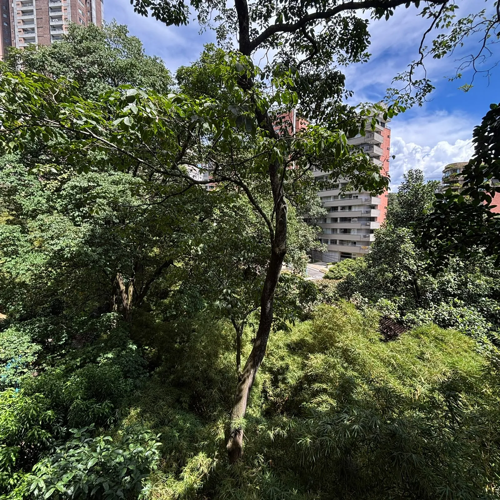 Apartamento Premium en El Poblado — vista 9